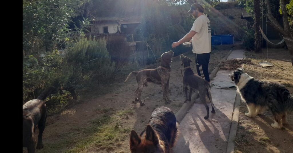 Toelettatura animali nel centro storico di Firenze